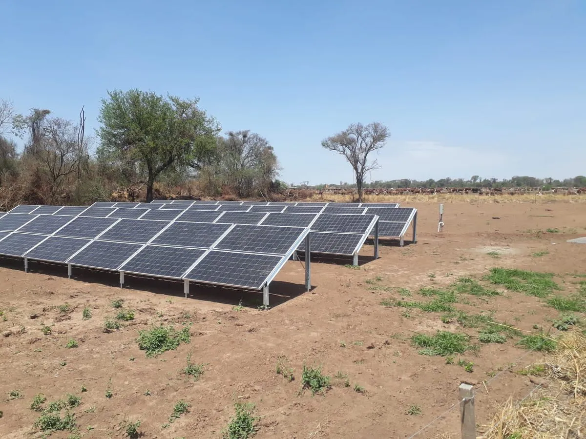 247963175_1805745942931813_2874566566132252935_n