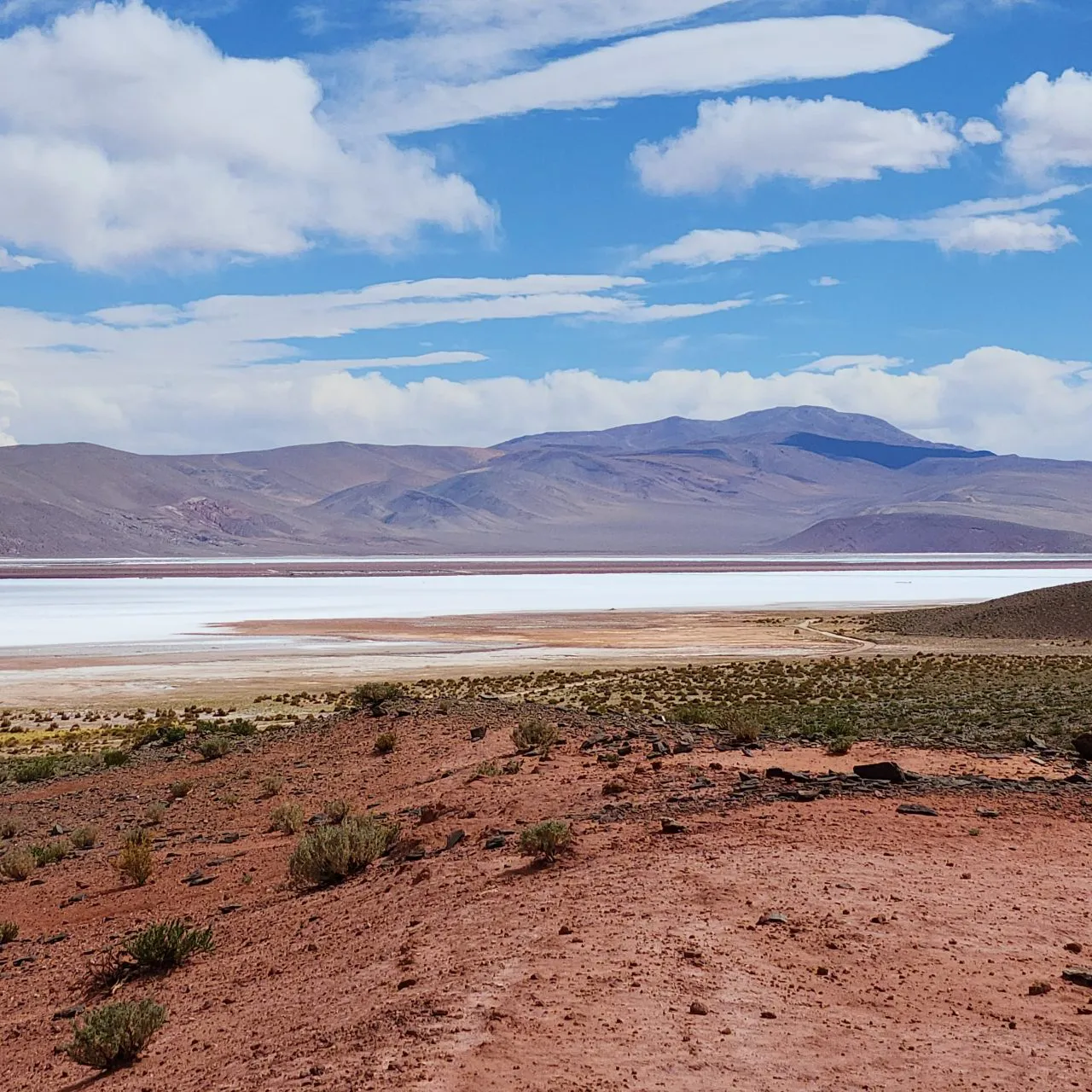 20230116_161020-1280x1280