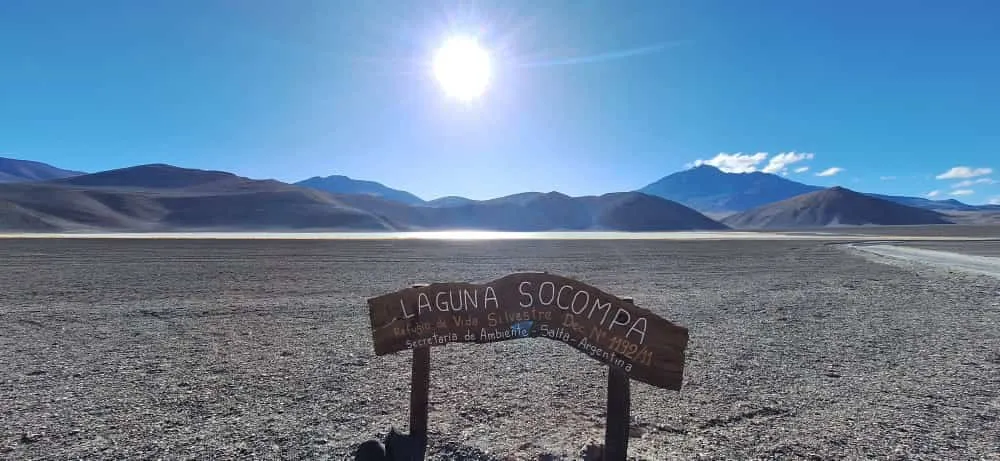 366838151_3415930982055061_5085367480641607724_n