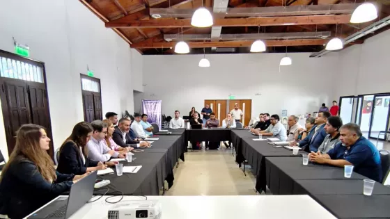 100734-la-secretaria-de-trabajo-participo-de-la-mesa-pronapre-extraccion-de-litio