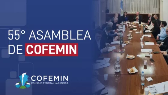 104193-el-cofemin-presidido-por-salta-llevo-la-voz-federal-de-la-mineria-al-senado-de-la-nacion