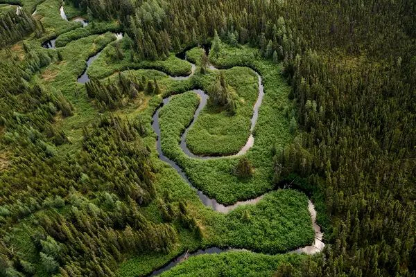 canada 1