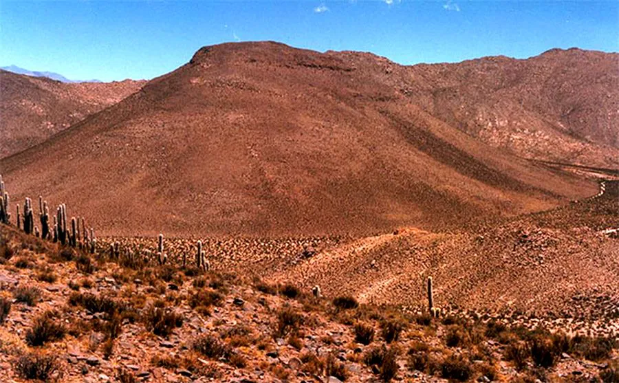 burras 2
