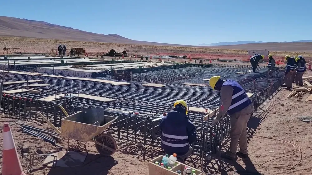 WhatsApp Image 2024-01-16 at 12.08.49