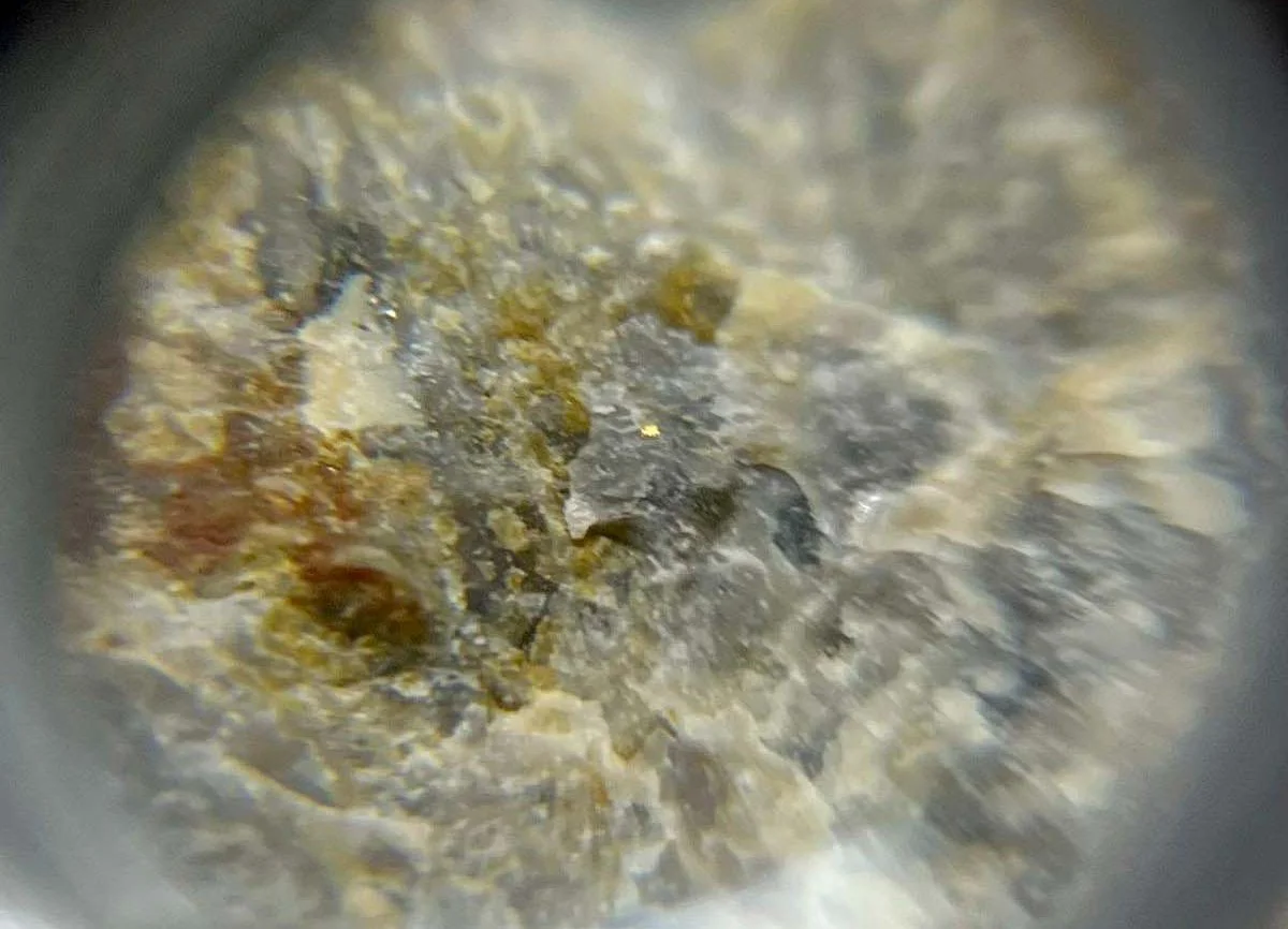 INSPECCIN_MINERA_-_LAS_MELLIZAS_1