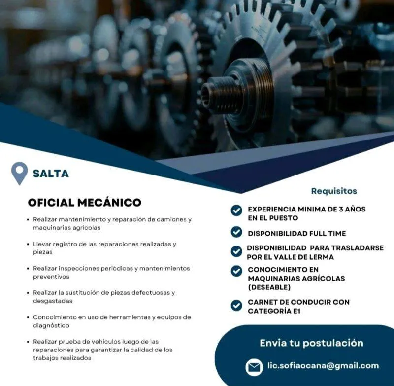 513605716_786071283763524_830141142614828679_n