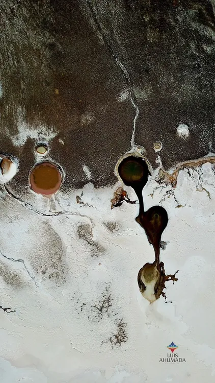 WhatsApp Image 2024-01-21 at 14.42.27