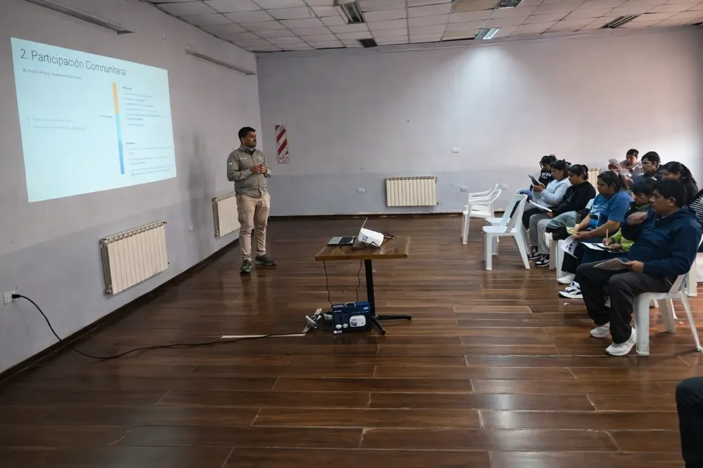 taca taca first quantum tolar grande