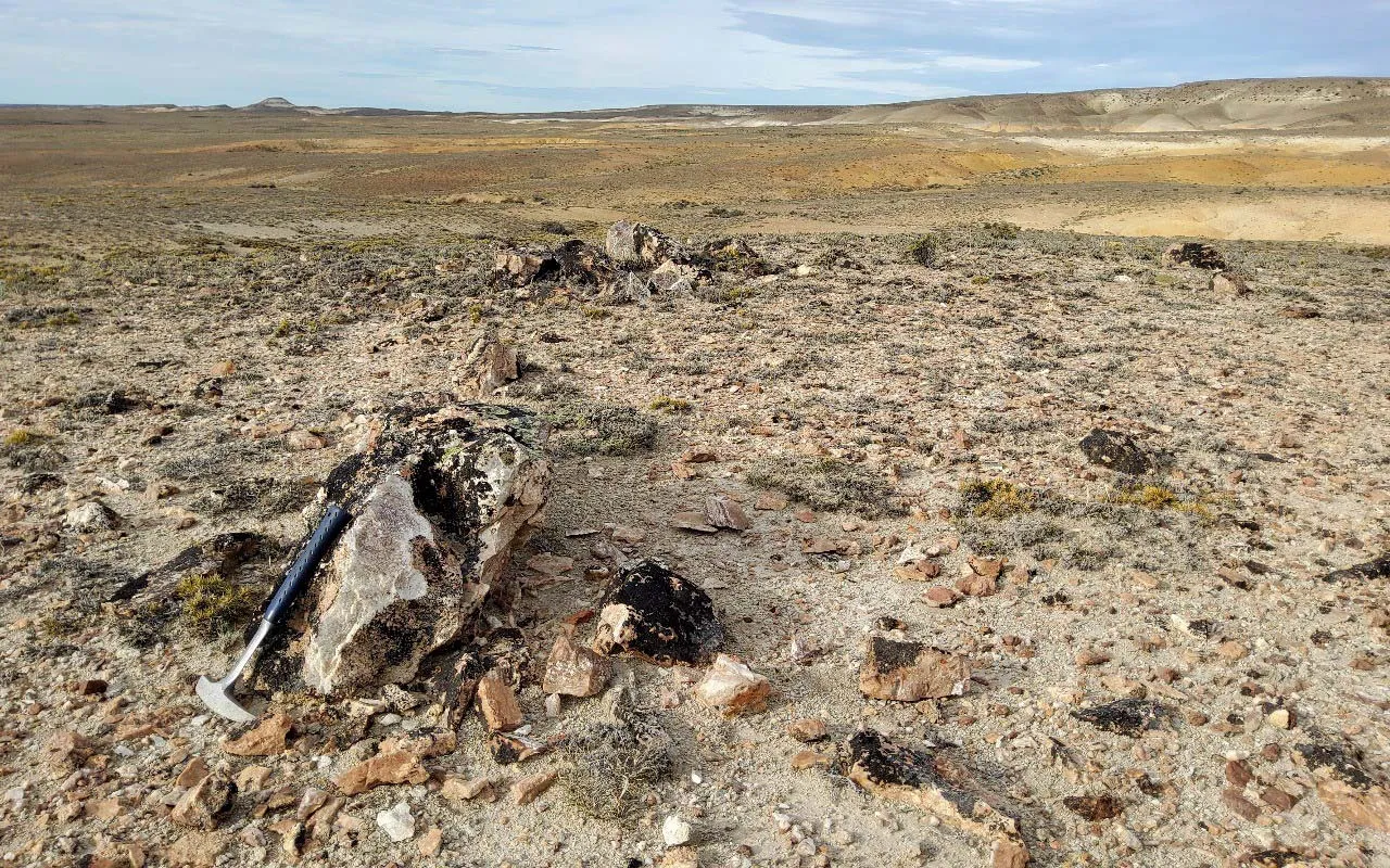 WhatsApp_Image_2025-10-14_at_12.08.32_PM_3