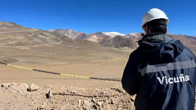 VICUÑA 2