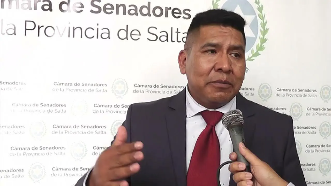 salva 2