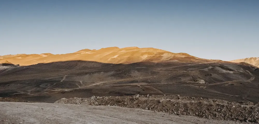 vicuna-corp-en-san-juan