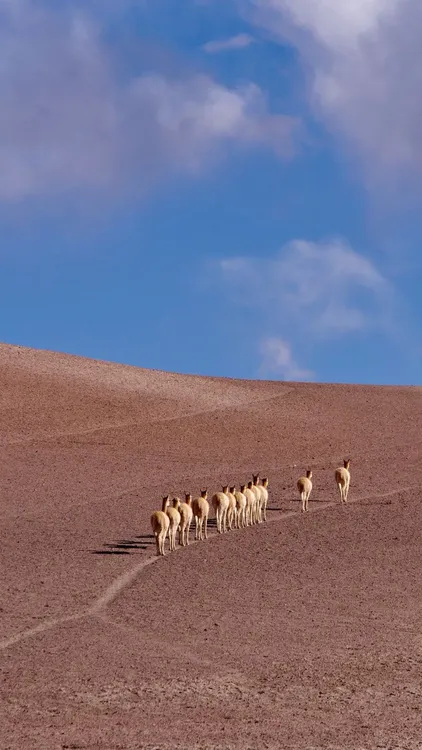 WhatsApp Image 2024-01-21 at 14.43.53