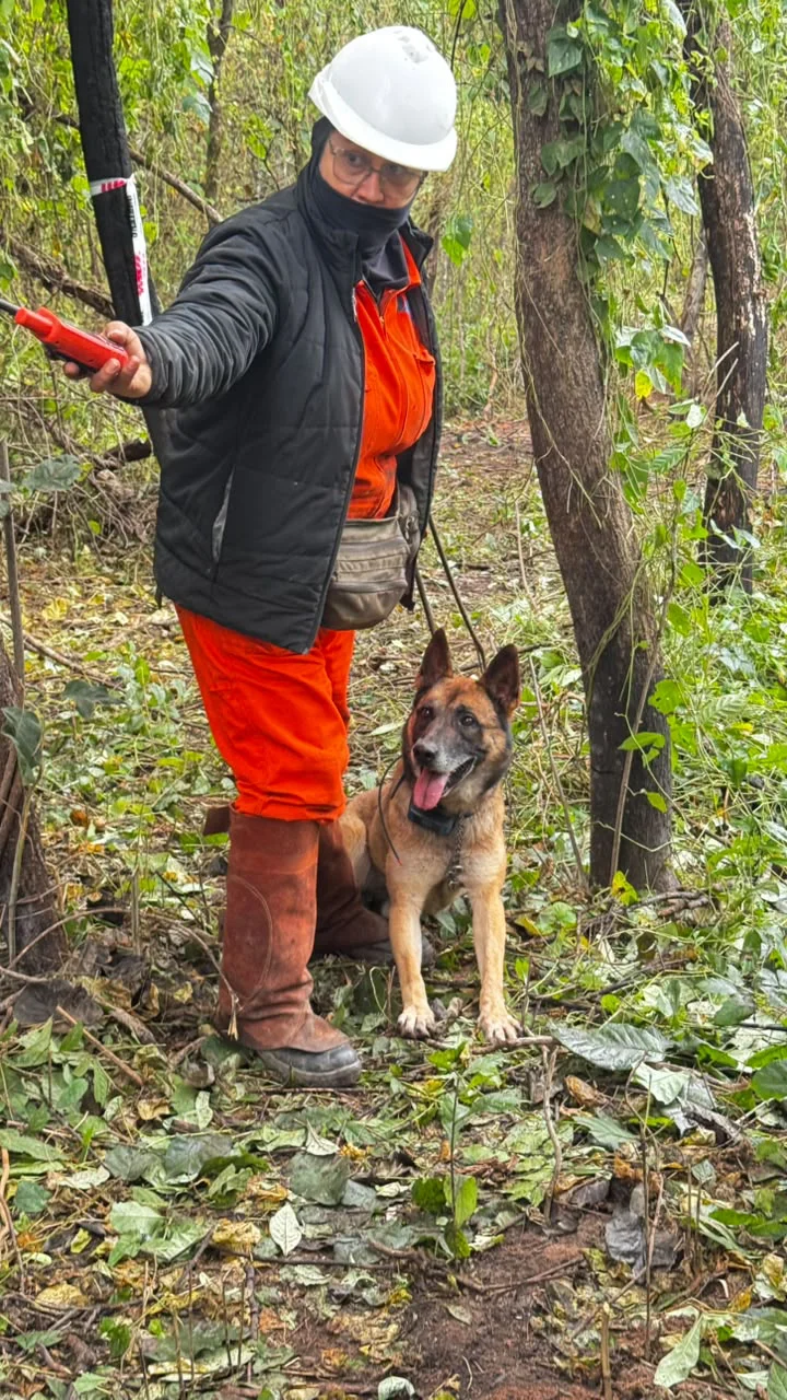 Gustavo Carrizo recorrió la zona de La Porcelana, para tomar conocimiento en territorio sobre el avance de los trabajos de identificación, retiro y destrucción de remanentes explosivos.