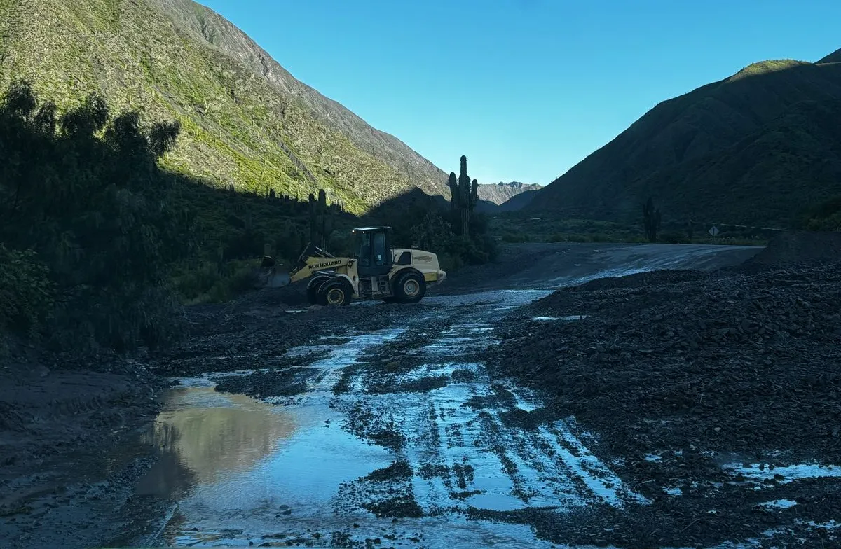 WhatsApp Image 2025-02-19 at 09.22.47