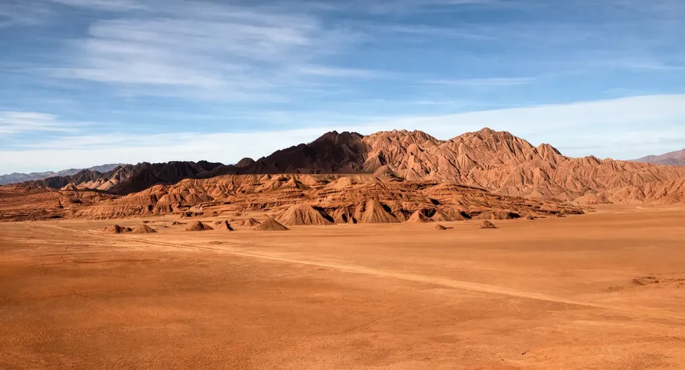 ChatGPT Image 16 dic 2025, 17_16_37