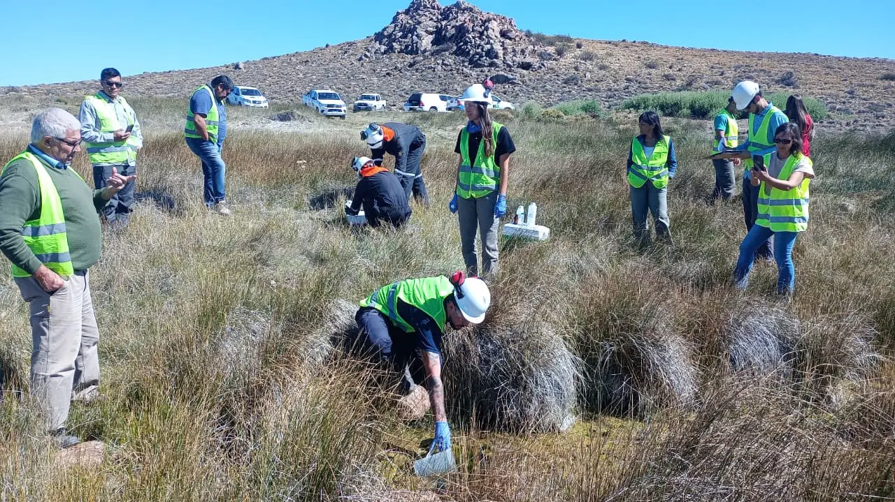 1771607971_d3b2c4e9fd16a1329159