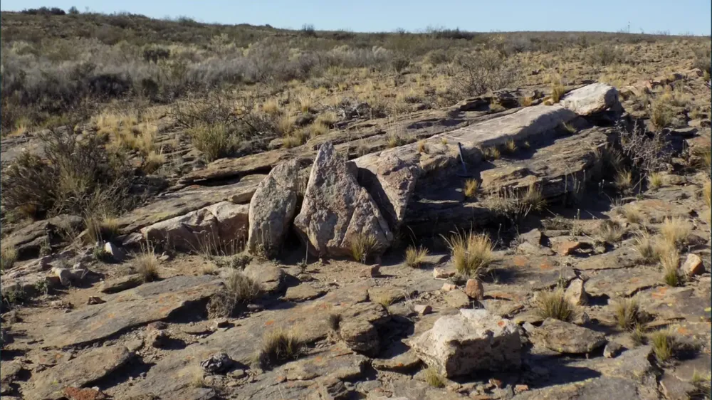 1754414183_652f46630aa2ce7ac880