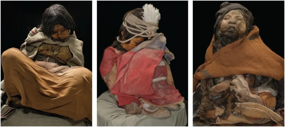 8124-lo-que-trajeron-los-ninos-de-llullaillaco_img_1