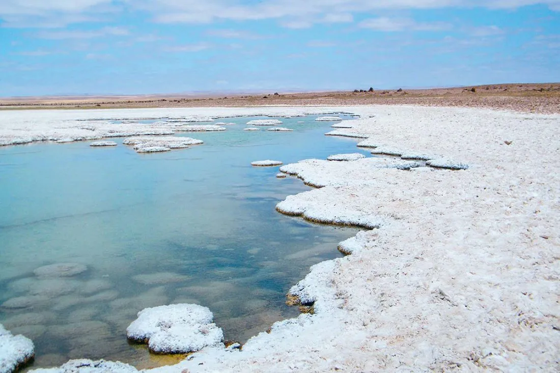 salar