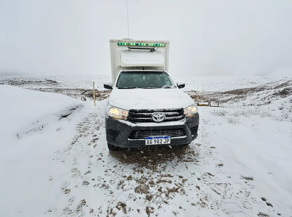 WhatsApp Image 2025-06-25 at 4.19.20 PM