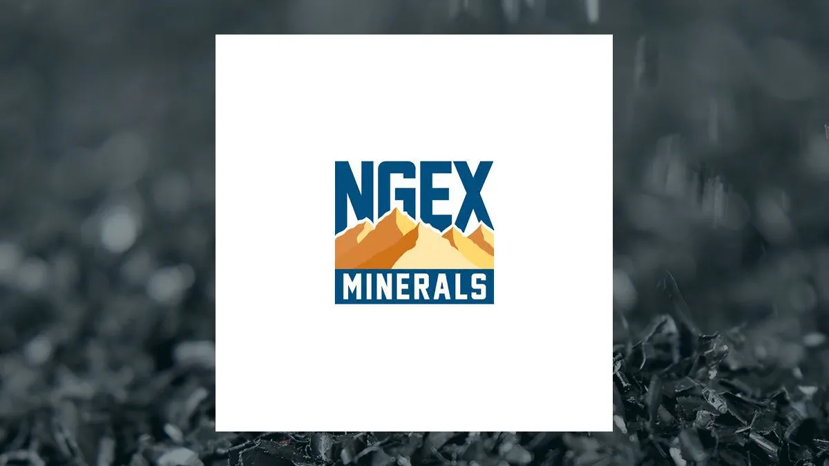 NGEx Minerals ahora cuenta en su directorio con el ex de Vicuña Alfredo Omar Vitaller