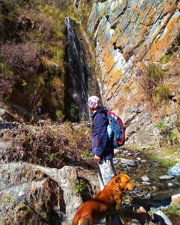 355909705_715933700540173_1267284804749751153_n