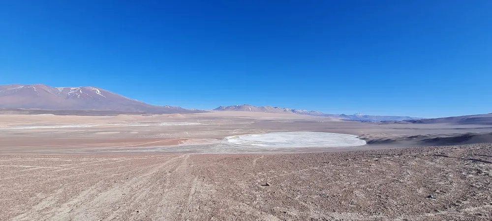 20230614_11005260-1-scaled