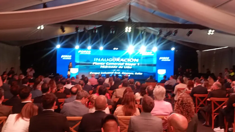 WhatsApp Image 2024-10-24 at 10.48.31 AM