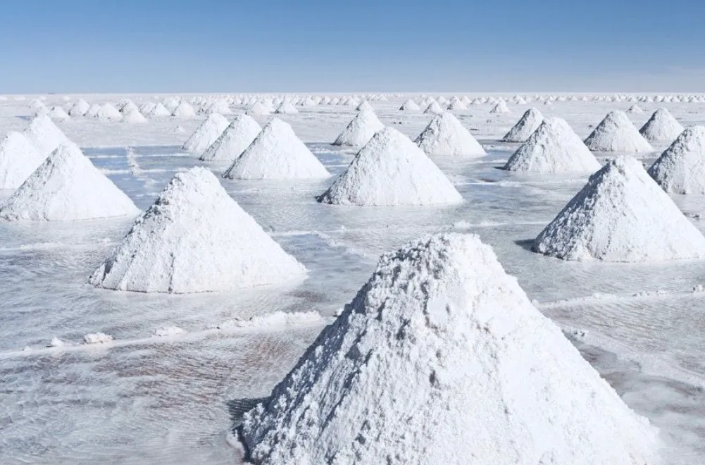 multimedia.normal.a3600262ca5d6b0d.MTJfbm9ybWFsLnBuZw==