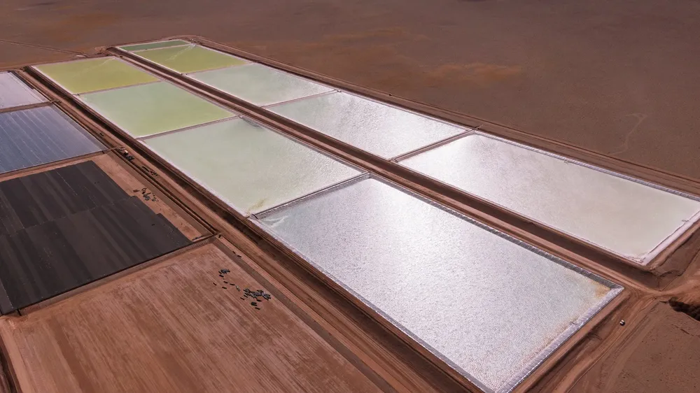 245904864_232566888933342_7144859054340491022_n