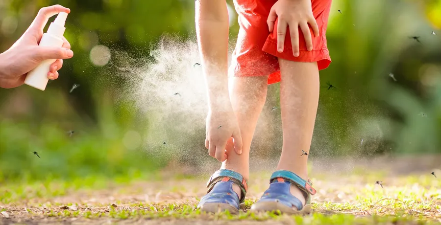 PREVENCION-DEL-DENGUE-2024