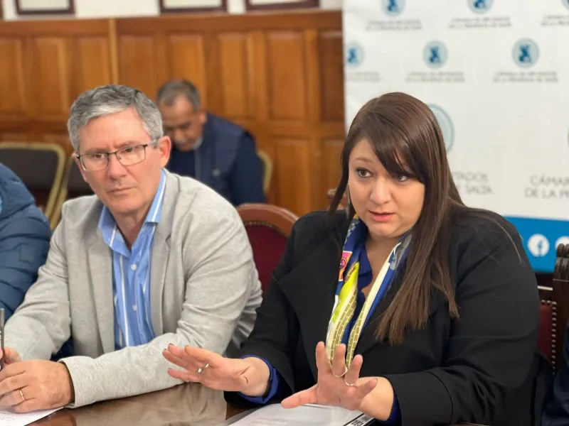 91258-el-gobierno-impulsa-procedimientos-agiles-para-optimizar-la-gestion-minera