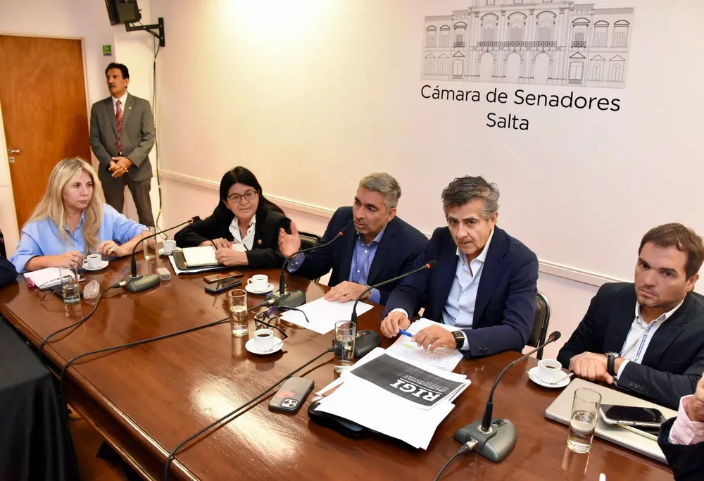 Carrizo en el Senado