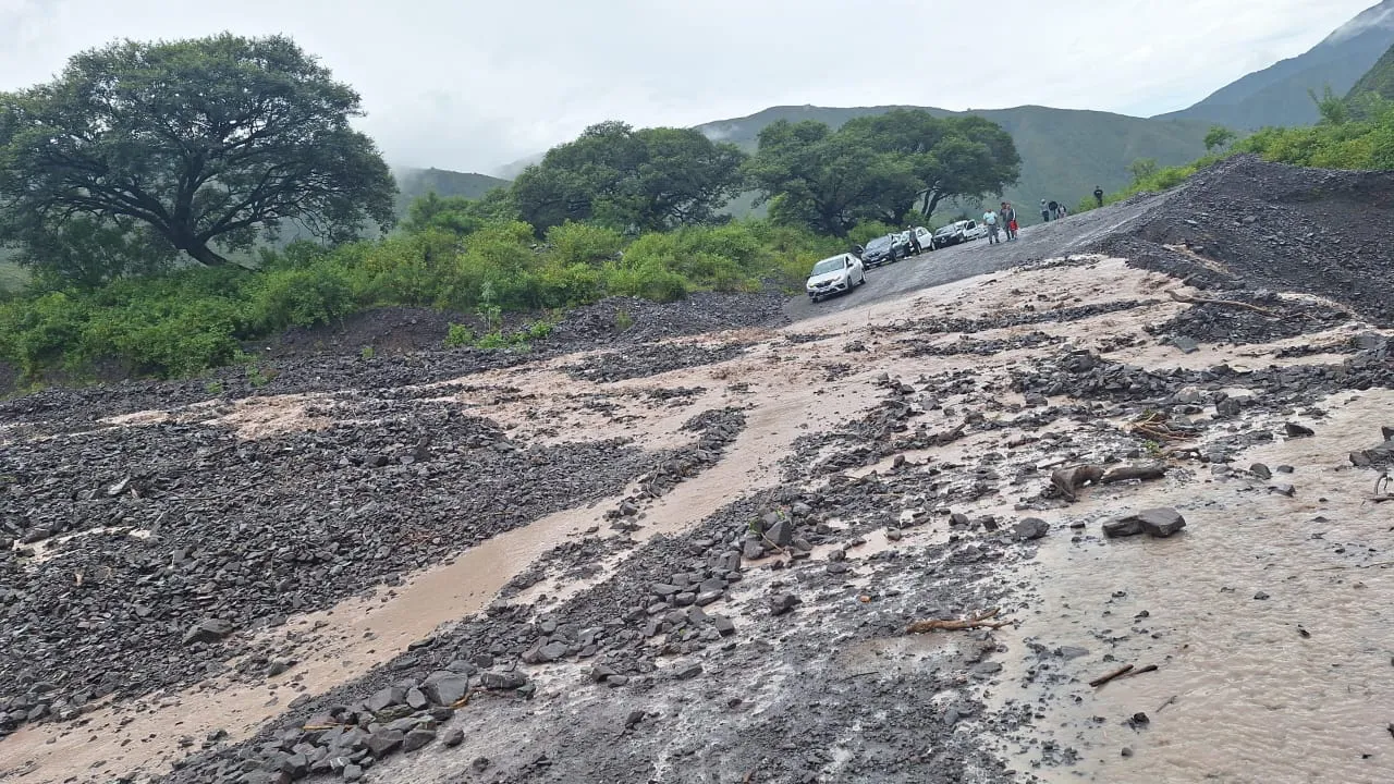 WhatsApp Image 2025-03-08 at 11.25.00