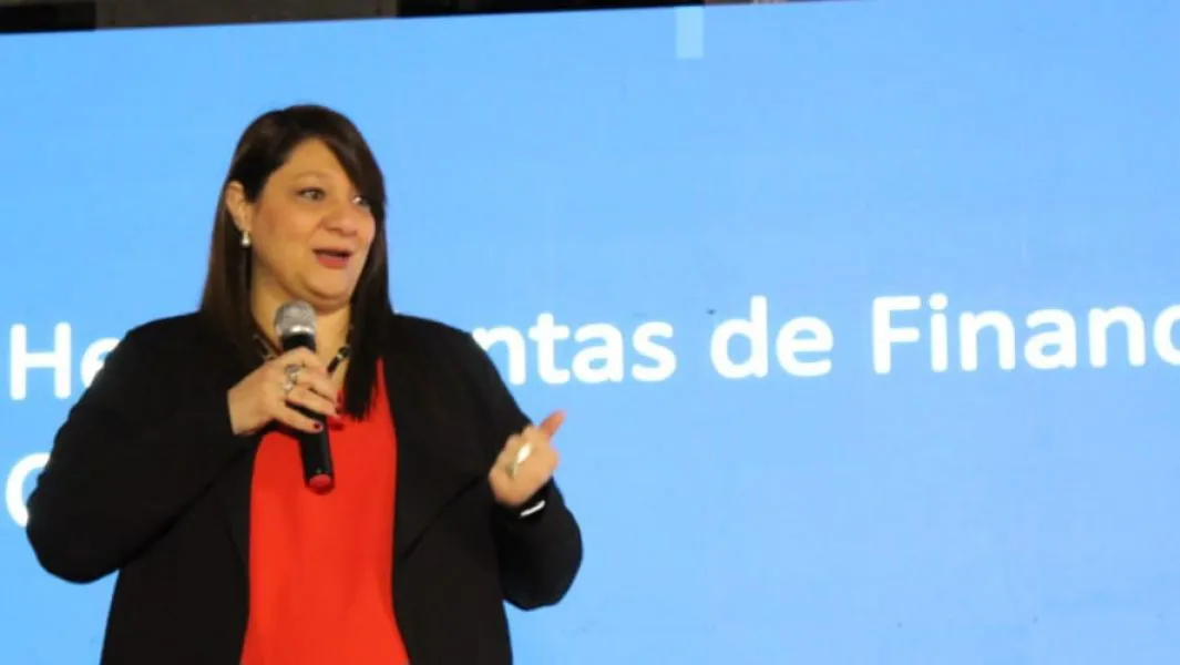 97523-promocion-y-fortalecimiento-de-la-cadena-de-valor-minera-en-salta