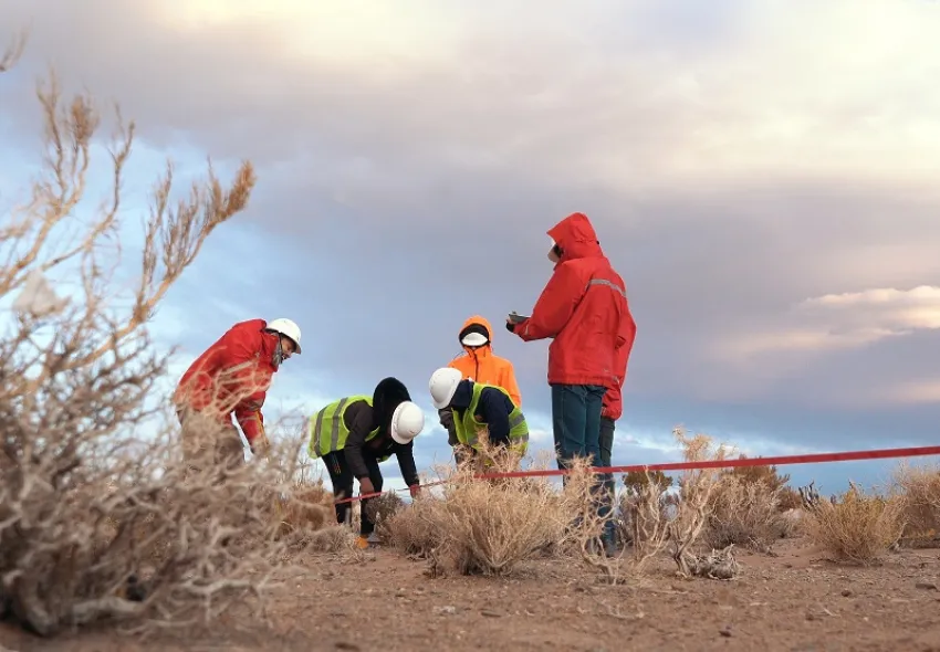 exar-febrero-y-marzo