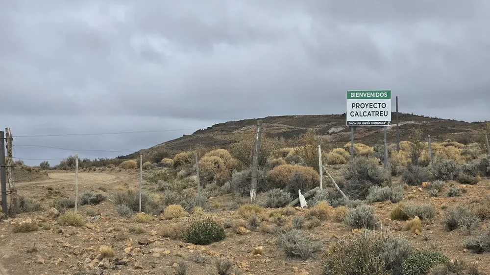 1744631978_658147c32afea32f5ebe