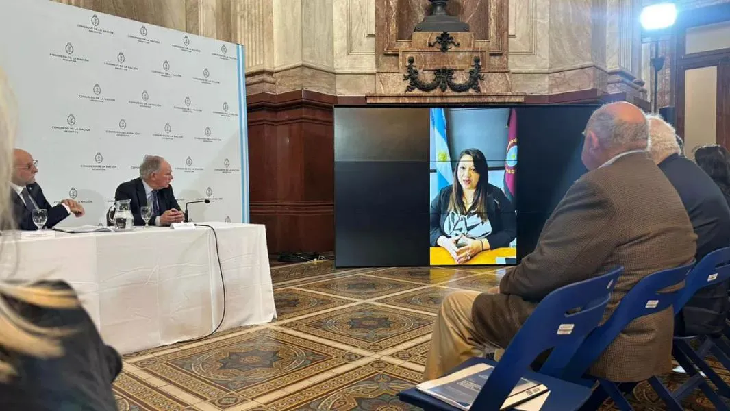 Senado de la Nación