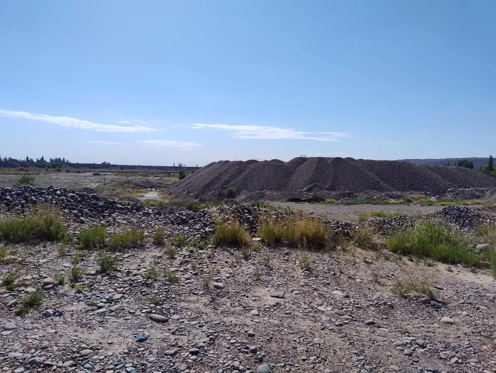 WhatsApp-Image-2025-01-16-at-10.09.43