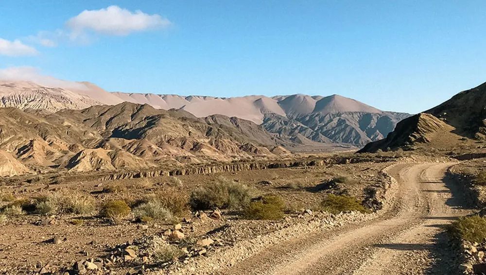 vicuna-mantenimiento-de-camino-1536x869