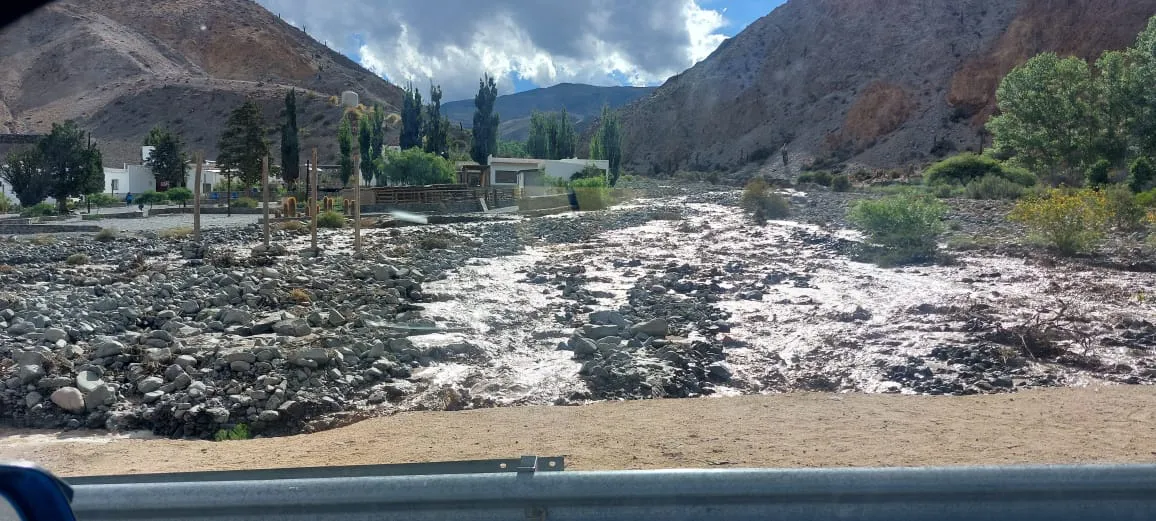 WhatsApp Image 2024-11-30 at 8.18.42 PM(1)