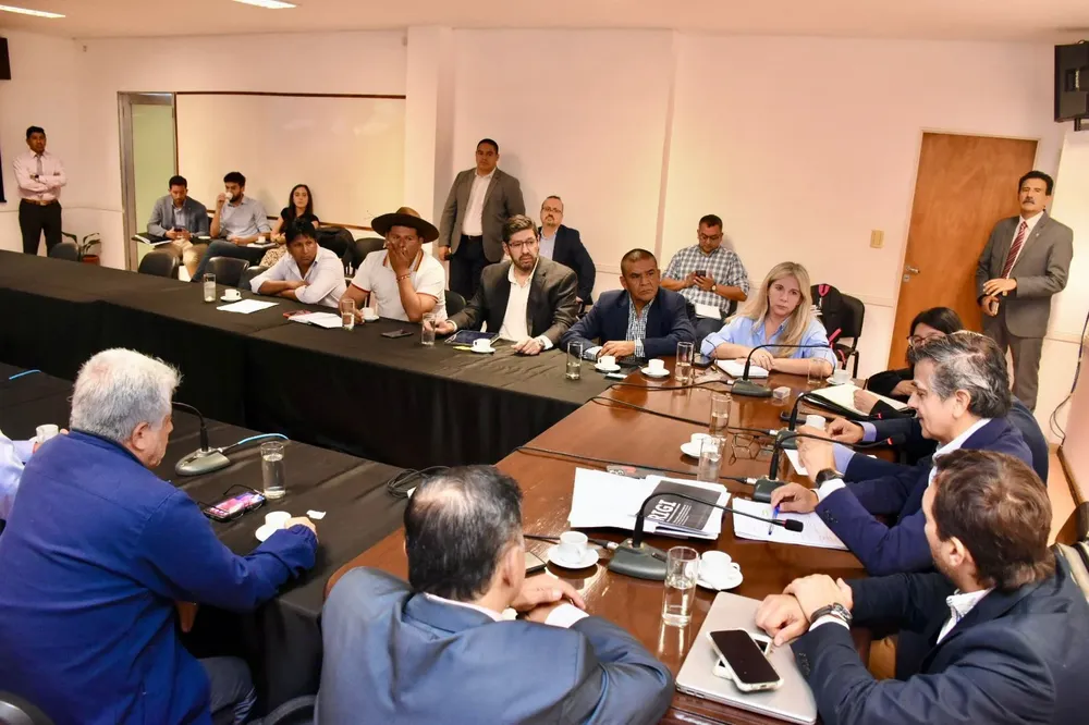 Carrizo en el Senado