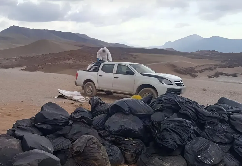 basura 3