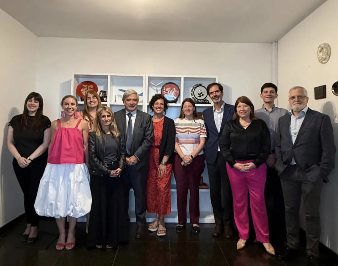 camara china argentina