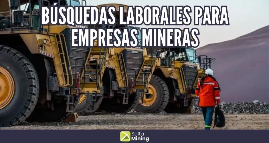 Boom minero y empleo en Salta, Preocupado, el Gobierno busca mejorar los  índices