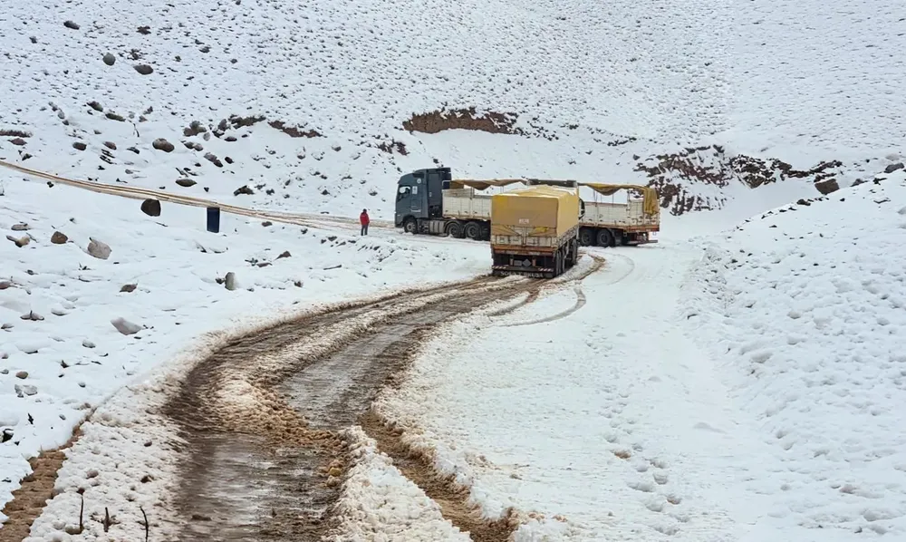 nevada en san antonio