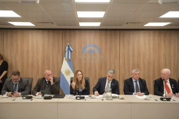 Comision-de-mineria-tierras-raras