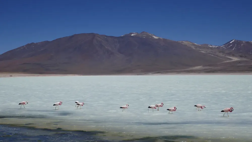 Laguna Blanca, a salt pan, or salar, in Bolivia. BGS © UKRI (2)