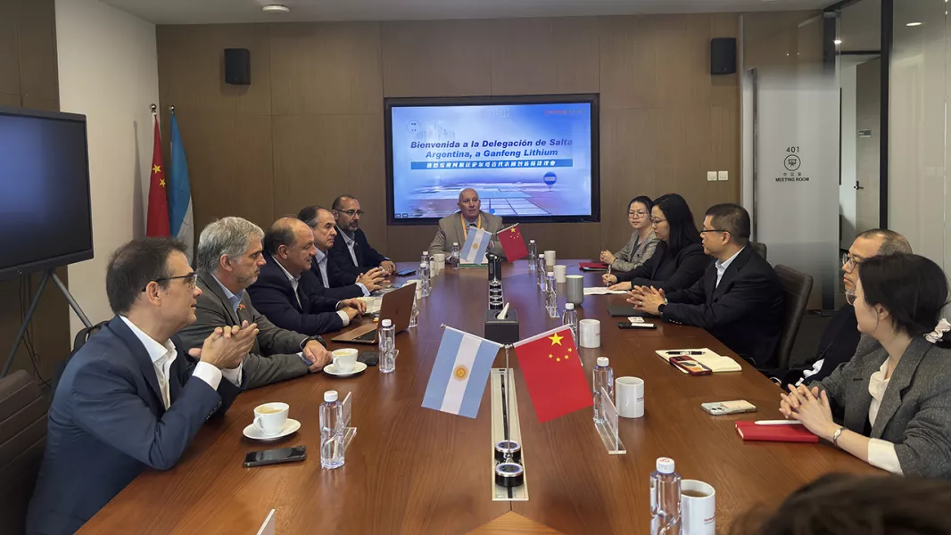 20430-la-empresa-ganfeng-lithium-expuso-sobre-proyectos-de-inversion-vinculados-a-la-produccion-de-litio